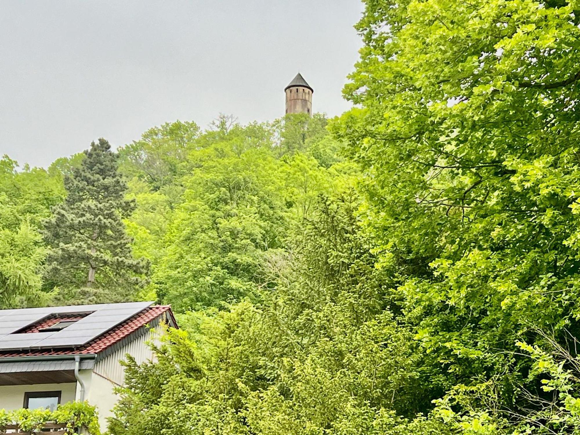Villa Plesse Bovenden المظهر الخارجي الصورة